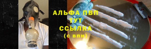 мдпв Карпинск