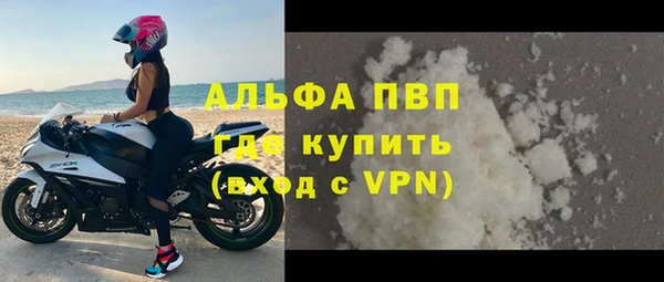 индика Карталы