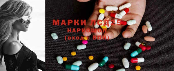 мдпв Карпинск