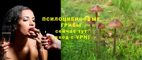 герыч Каменка