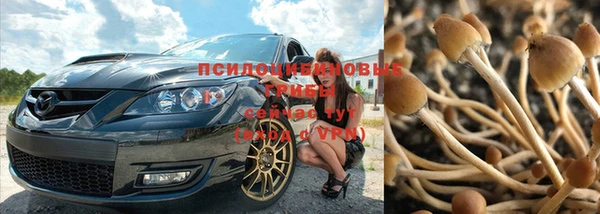 гашиш Каменногорск
