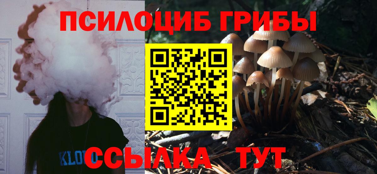 Галлюциногенные грибы Psilocybine cubensis Клин