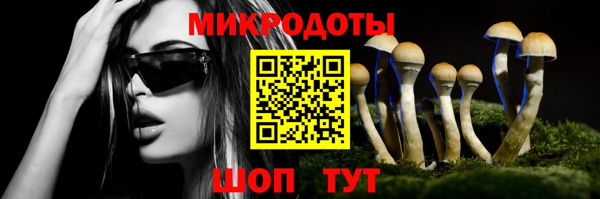 Галлюциногенные грибы Magic Shrooms  Вход с VPN  Галлюциногенные грибы GOLDEN TEACHER  Клин 